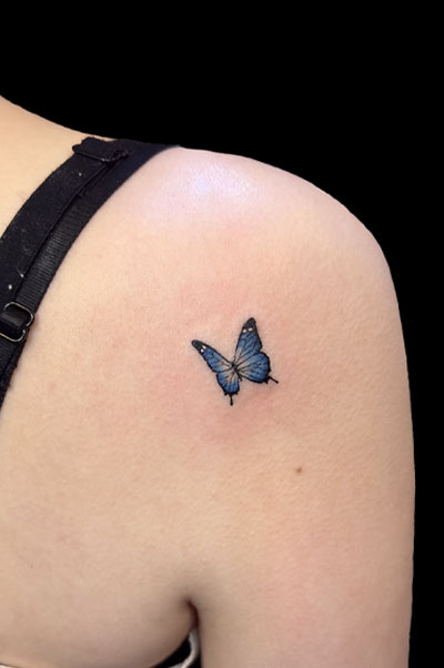 蝶<br>肩コインサイズ