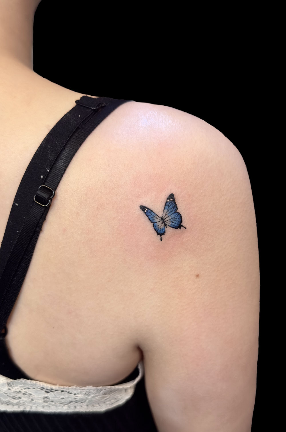 蝶<br>肩 コインサイズ