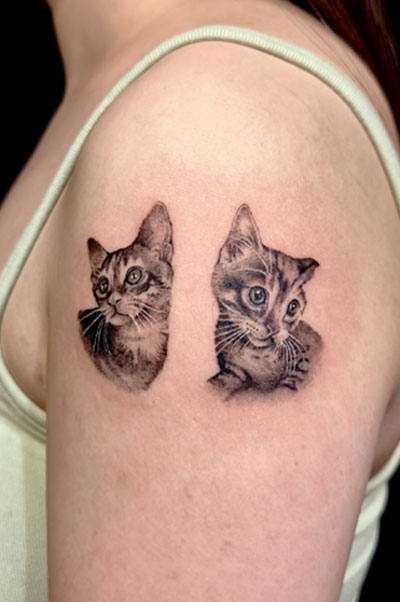 猫<br>二の腕上部