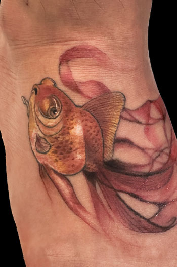 金魚<br>足 甲