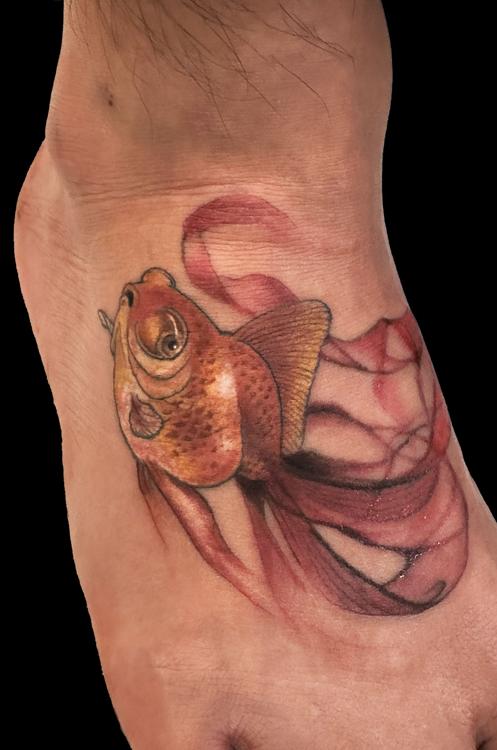 金魚<br>足 甲