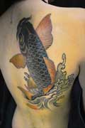  肩甲骨 鯉 刺青 和彫り
